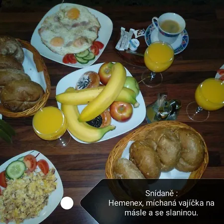 Guest house Venuse Mb Moravske Budejovice